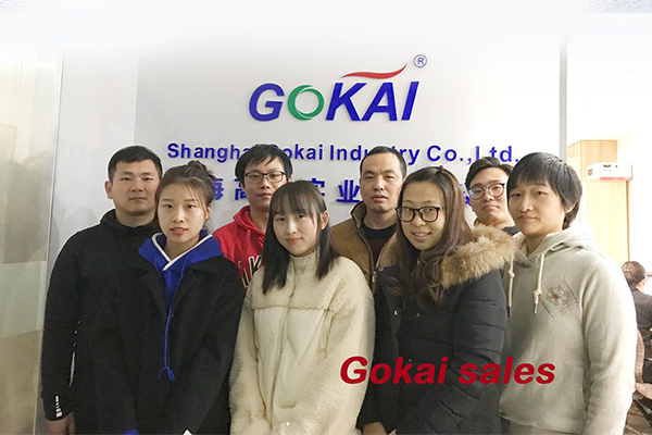 Joyeux Noël et bonne année 2021！