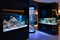 //iororwxhpjinlm5p.ldycdn.com/cloud/pjBpiKnllqSRqlkikqplip/Custom-Acrylic-Aquarium-Design-Flexibility-Showcase.jpg