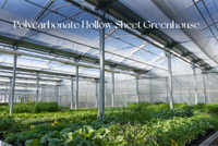 //iororwxhpjinlm5p.ldycdn.com/cloud/poBpiKnllqSRqlokjlpqip/Modern-Greenhouse-With-Polycarbonate-Roof.jpg